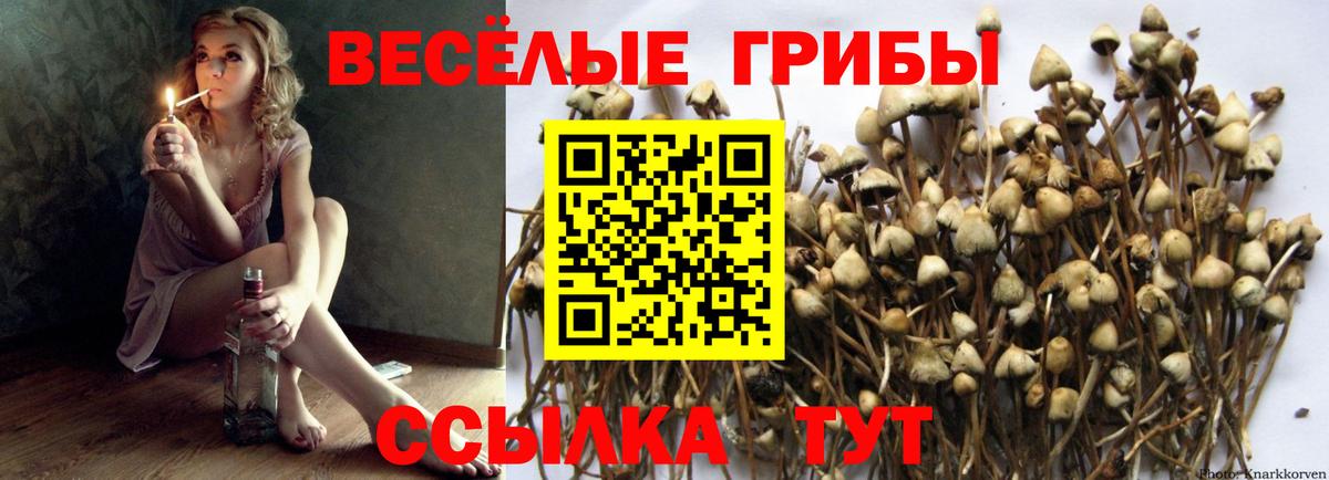 Псилоцибиновые грибы мицелий  Вход с VPN  Невинномысск 